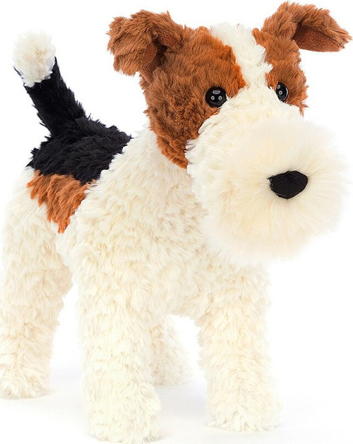 Hector Fox Terrier 1