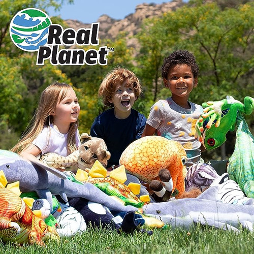 Real planet