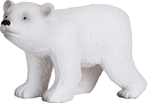 Polar Bear Cub Walking 2