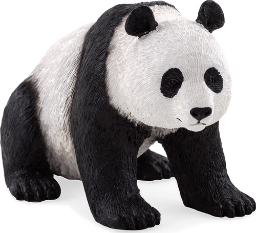 Giant Panda 1
