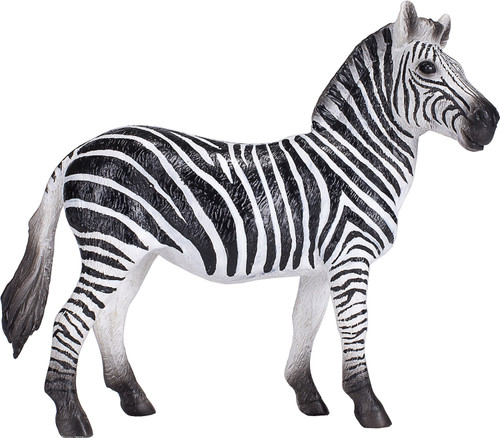 Zebra Mare 2