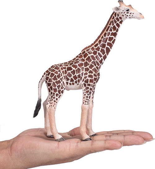 Giraffe Male 1