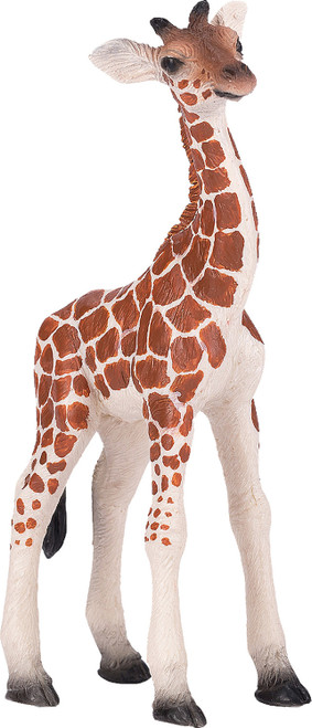 Giraffe (young) 1