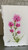 Pétale Collection Handcrafted Cards
