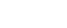 braun logo