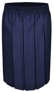 Navy Box Pleat Skirt