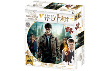 Harry Potter 3D 500pc Puzzle - Harry Potter
