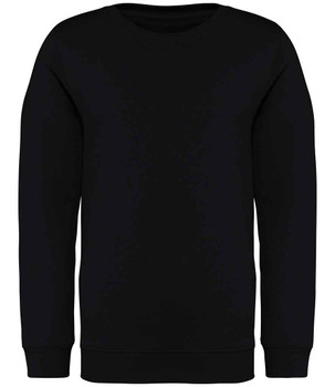 Native Spirit Kids Crew Neck Sweatshirt