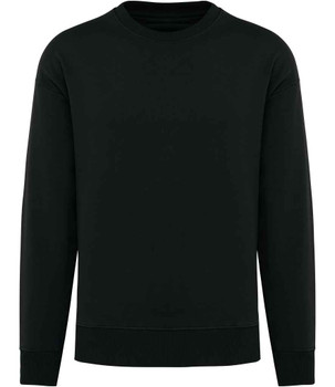 Native Spirit Unisex Oversized Sweatshirt