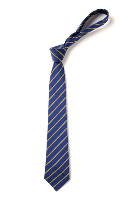 Devonshire School Tie