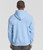 Fruit of the Loom Classic Hooded Sweatshirt