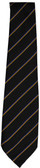 WCGS Tie