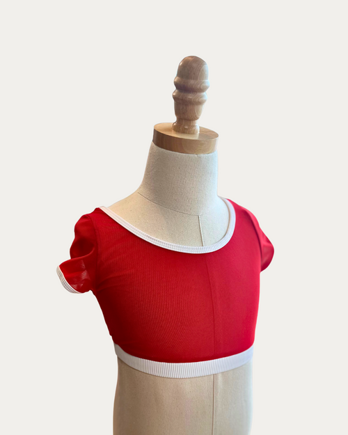 Retro Mesh Crop Top - Red