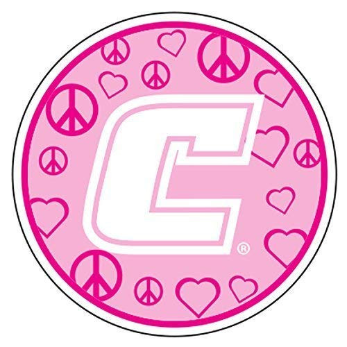 Tennessee - Chattanooga Magnet - Pink PEACE LOVE C