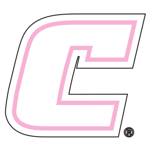 Tennessee - Chattanooga Decal - PINK C DECAL