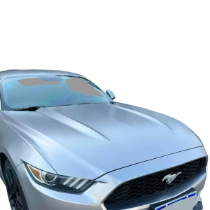 FRP OER Hood > Ford Mustang 2015-2017 - image 1
