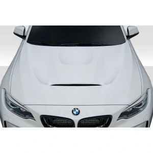 2014-2021 BMW 2 Series GTS Hood - image 1