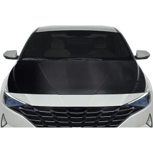2021-2023 Hyundai Elantra OEM Look Carbon Fiber Hood - image 1