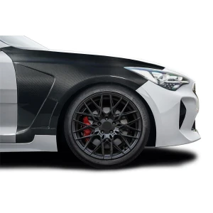 2018-2023 Kia Stinger Aegis Carbon Fiber Fender - image 1