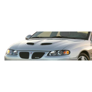 2004-2006 Pontiac GTO CV8-Z Hood - image 1