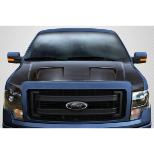 2009-2014 Ford F-150 DriTech Ram Air Hood - 1 Piece - image 1