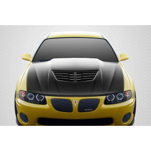 2004-2006 Pontiac GTO DriTech Stingray Z Hood - 1 Piece - image 1