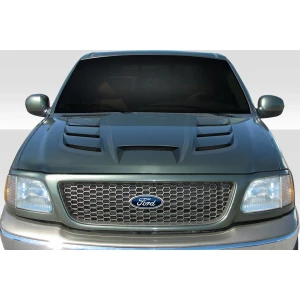 1997-2003 Ford F-150 1997-2002 Expedition Viper Look Hood - 1 Piece - image 1