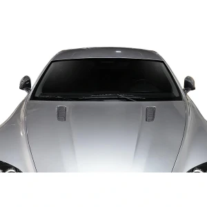 2006-2017 Aston Martin Vantage AF-1 Carbon Fiber Accessory - image 1