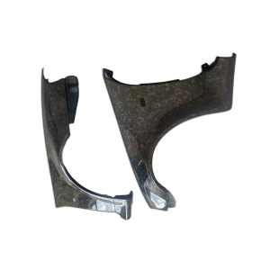 Carbon Fiber NISM Zt Fenders (front) > Nissan Skyline (R34) GTR 1999-2002 > 2dr Coupe - image 1