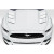 2015-2017 Ford Mustang TS 1 Hood - 1 Piece (S) - image 1