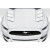 2015-2017 Ford Mustang TS 1 Hood - 1 Piece (S) - image 1