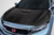 2017-2021 Honda Civic TypeR Carbon Creations EVS Hood 1 Piece
