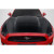 2015-2017 Ford Mustang TS 1 Hood - 1 Piece (S) - image 5