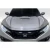2016-2021 Honda Civic Type R Look Hood - 1 Piece - image 3