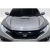 2016-2021 Honda Civic Type R Look Hood - 1 Piece - image 1