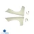FRP OER GTR Fenders (front) > Nissan Skyline (R32) GTR 1990-1994 > 2dr Coupe - image 9