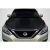 2017-2019 Nissan Sentra OEM Look Carbon Fiber Hood - image 1