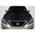 2017-2019 Nissan Sentra OEM Look Hood - 1 Piece - image 1