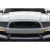 2013-2014 Ford Mustang GT Grille - image 1