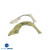 FRP HOM Wide Body Kit > Ferrari F430 2005-2009 - image 51