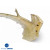 FRP OE Front Lower Half-Bumper > Bentley GT 2011-2015 - image 15