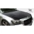 2005-2007 Dodge Magnum Executive Hood - image 4
