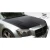 2005-2007 Dodge Magnum Executive Hood - image 5