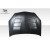 2002-2006 Acura RSX TS-1 Hood - 1 Piece - image 10