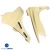 FRP HL Wide Body Fenders (front) > Mitsubishi Lancer 2010-2015 - image 18