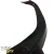 FRP Roof Wing > Subaru Impreza WRX 2002-2007 - image 6