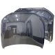 Carbon Fiber OER Style Hood > Audi A5 (8T) 2008-2011 > 2dr Coupe - image 1