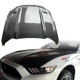Carbon Fiber GT Hood > Ford Mustang 2015-2017 - image 1