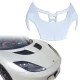 FRP V5 Hood (front) > Lotus Evora 2011-2021 - image 1