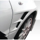 2003-2006 Mitsubishi Lancer Evolution 8 9 C-Speed Fenders (+20mm) - 2 Piece - image 1